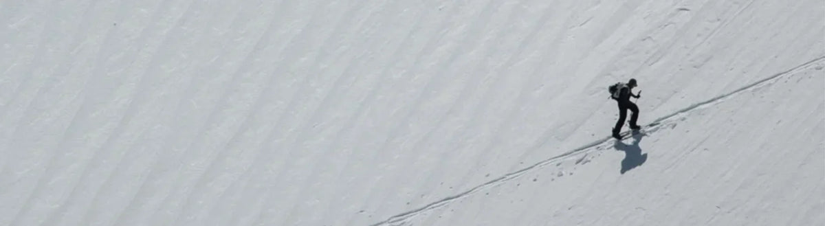 Splitboards & Accessories – Buzz's Boards