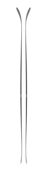Blizzard Anomaly 94 - 2025
