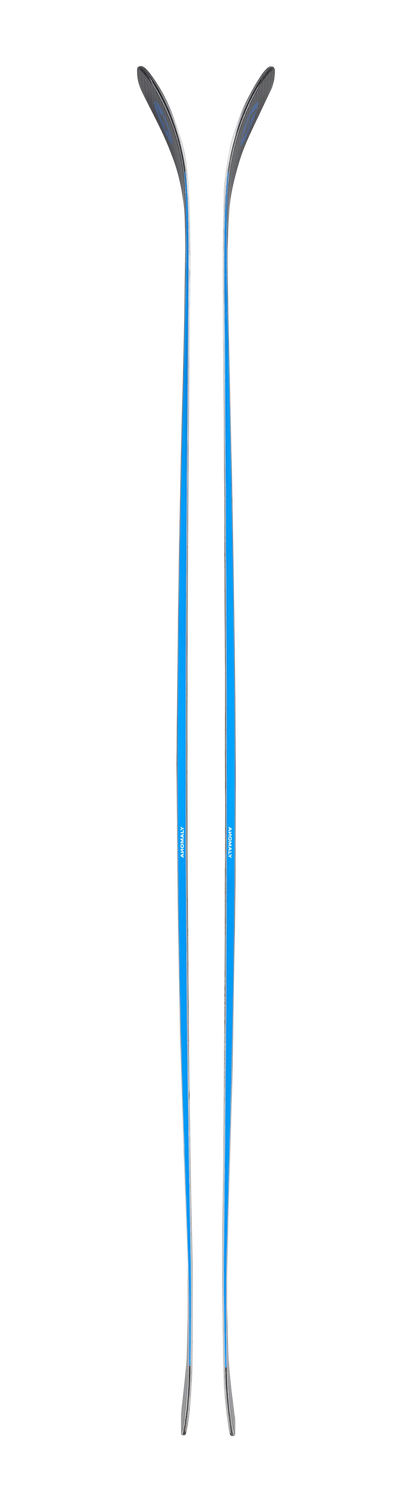 Blizzard Anomaly 84 - 2025