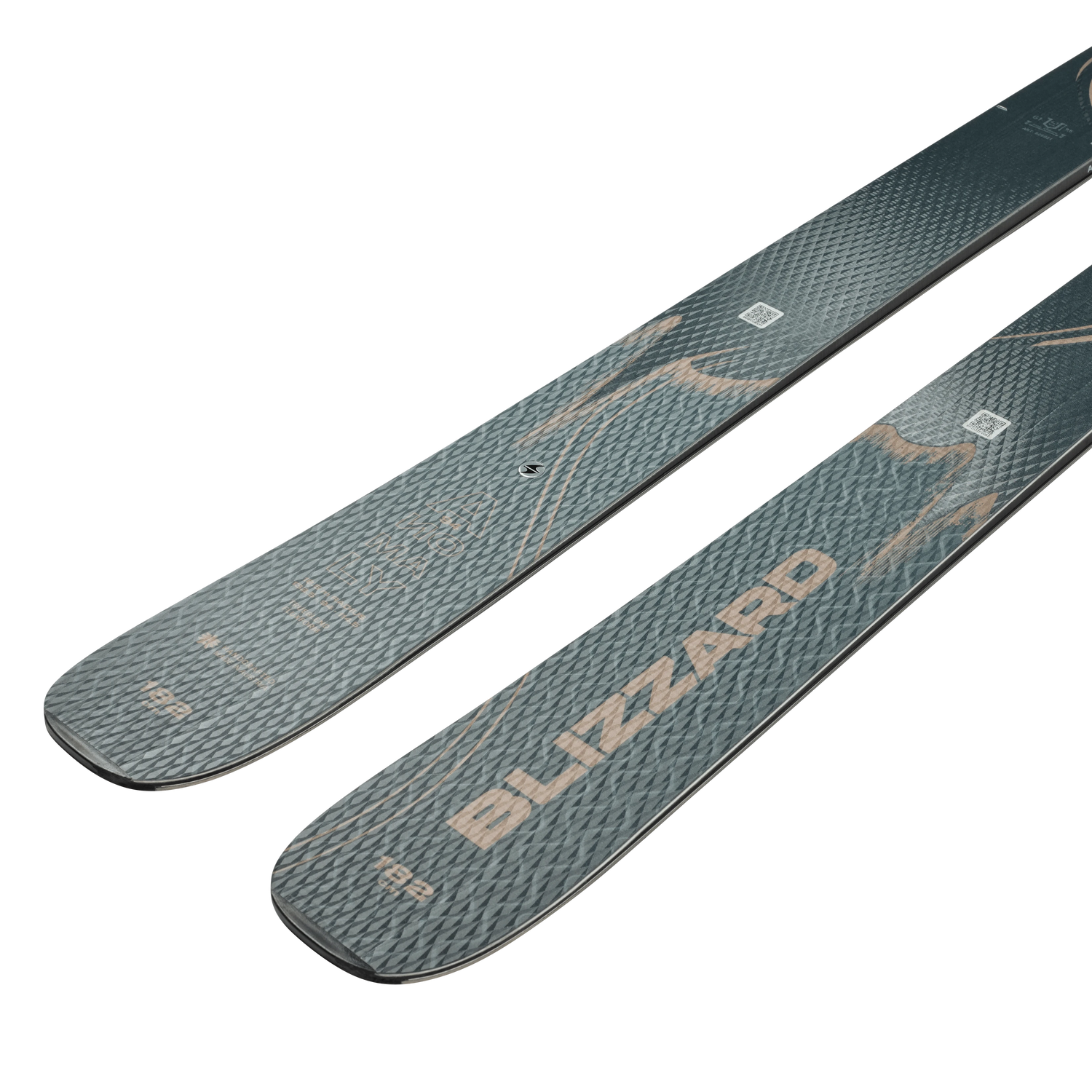 Blizzard Anomaly 94 - 2025