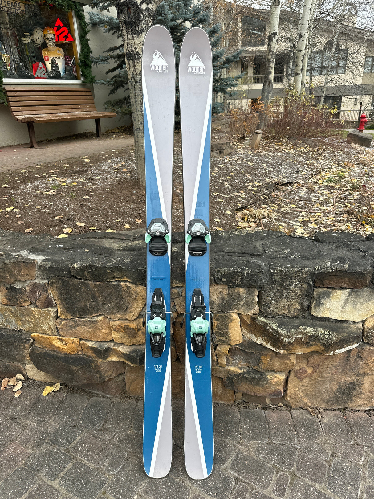 Wagner Custom Ski w/ Salomon Warden 11