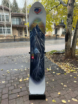 NEVER SUMMER Swift SNOWBOARD USED DEMO BOARD 2025