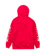 Volcom ESSENTIAL HYDRO HOODIE - 2027