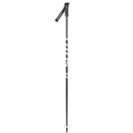 SCOTT PUNISHER SKI POLES
