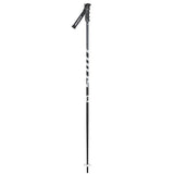 SCOTT PUNISHER SKI POLES